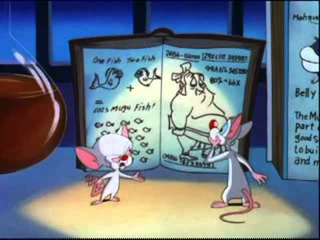 Illustration for article titled Every Single Pinky and the Brain Plan to Take Over the World, Ranked
